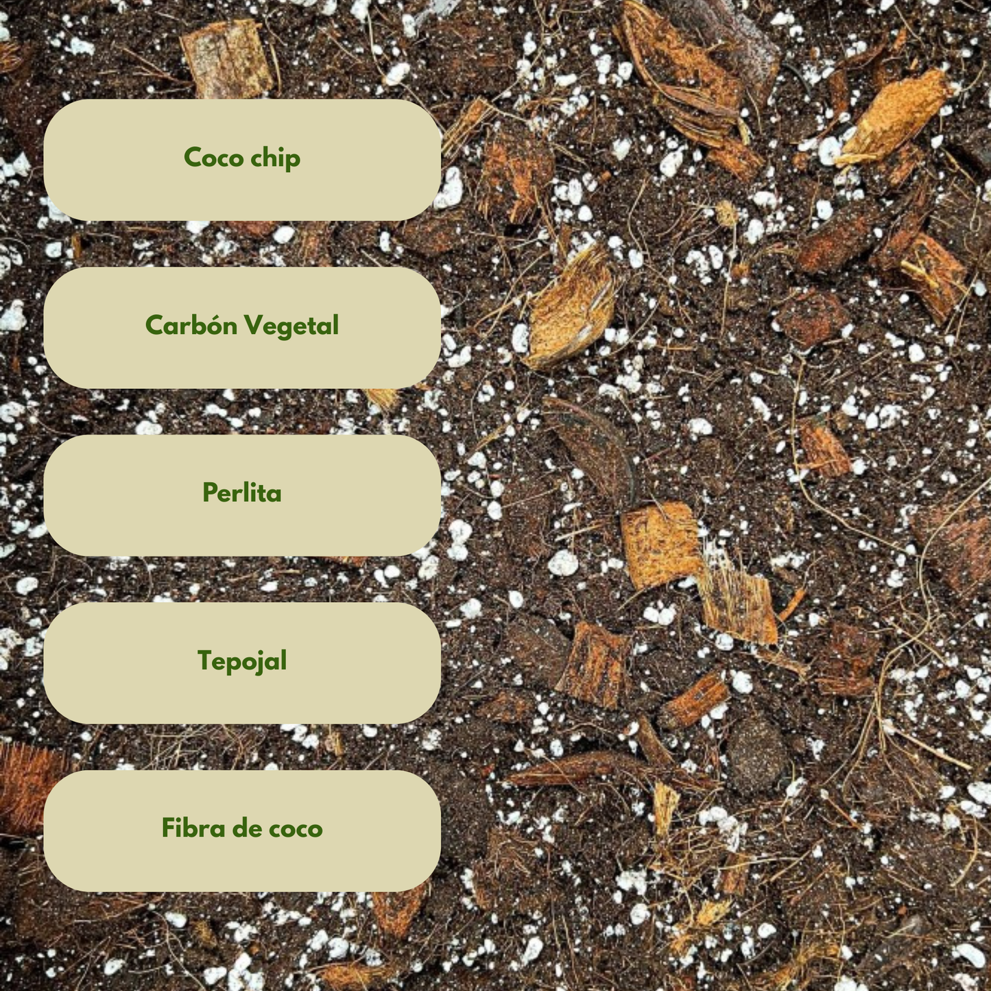 Aroid Mix | Sustrato Especializado para Plantas Aroides